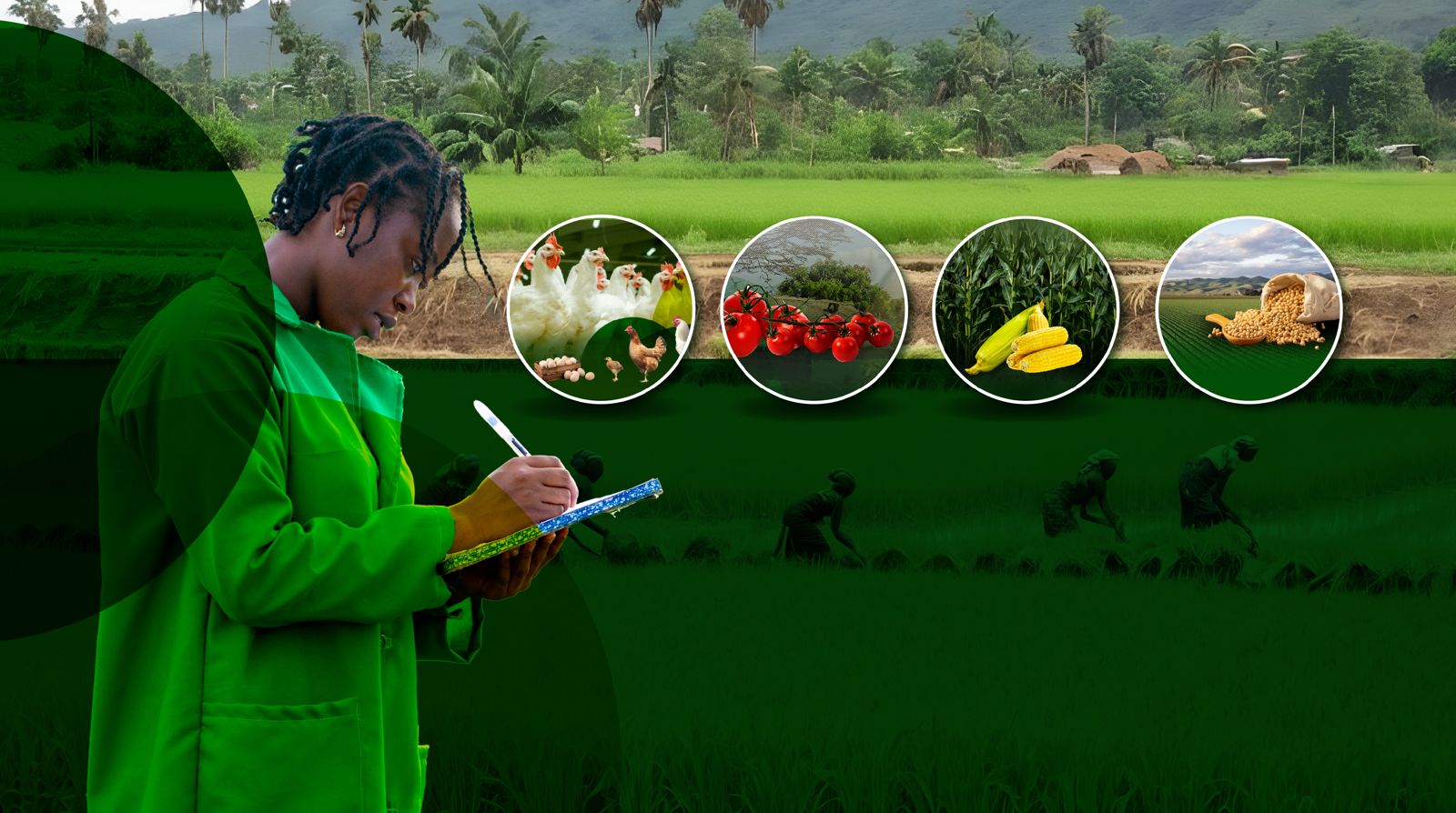 WEST AFRICA FOOD SYSTEM RESILIENCE PROGRAMME (FSRP) - PHASE 2