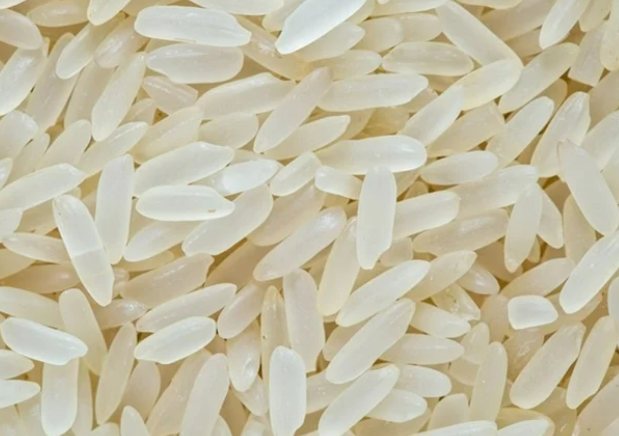 Rice